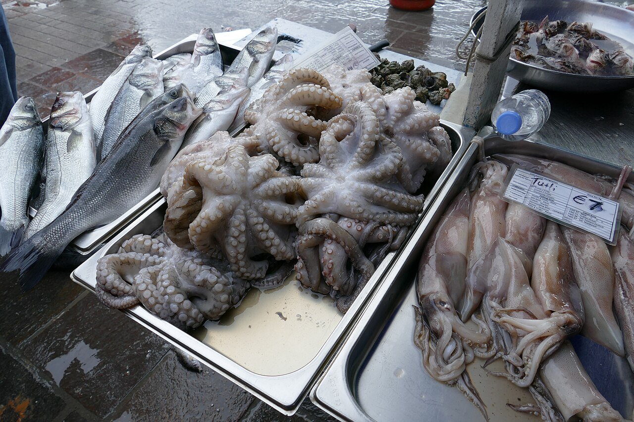 マルタの物価は高い？2026年9月版・項目別データで徹底比較