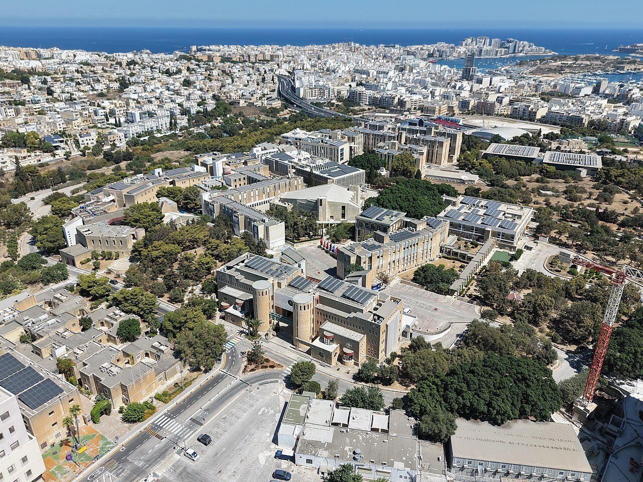 休学 留学|大学生がマルタで半年過ごす計画2026